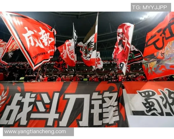 成都足球队团队协作能力大幅提升荣登全国足球团队协作排名新高MBA