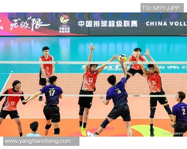 排球盛宴：深入了解成都排球队的比赛技巧与经验分享