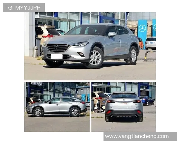 斯达贝克与布兰激战正酣谁能在这场对决中笑到最后