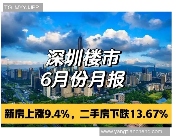 深圳羽毛球队转型之路揭秘：从传统强队到现代化竞技新标杆