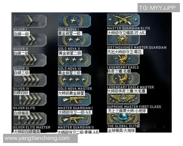 TES团队协作在CSGO中的重要性与实践探讨